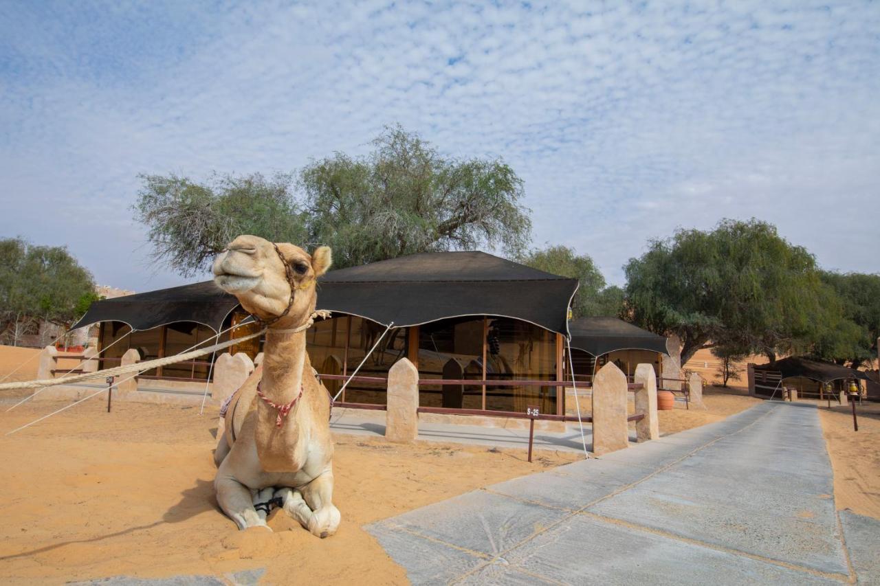 Hotel Thousand Nights Camp Shāhiq Exterior foto